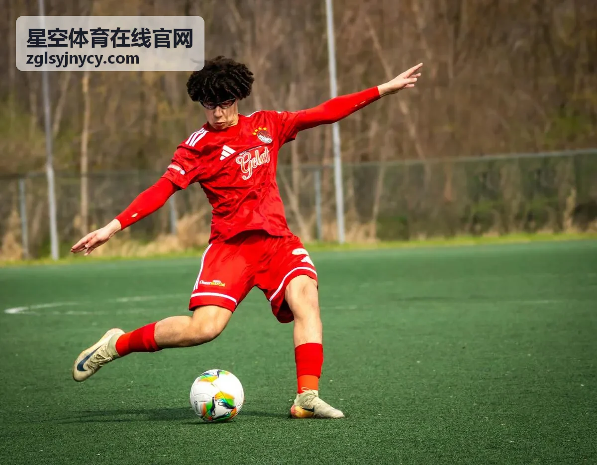 星空体育在线官网移动端快捷参与通道