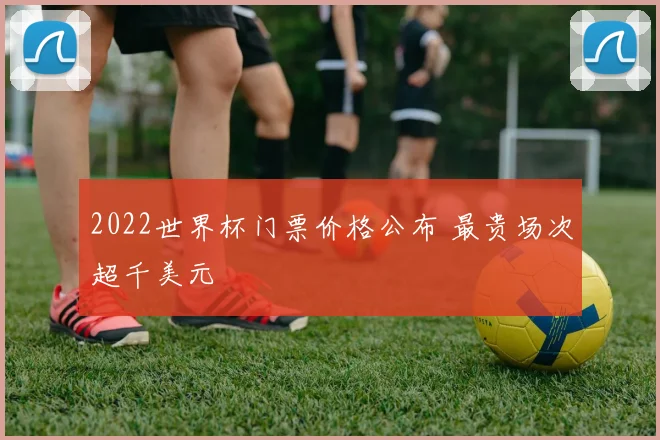 2022世界杯门票价格公布 最贵场次超千美元