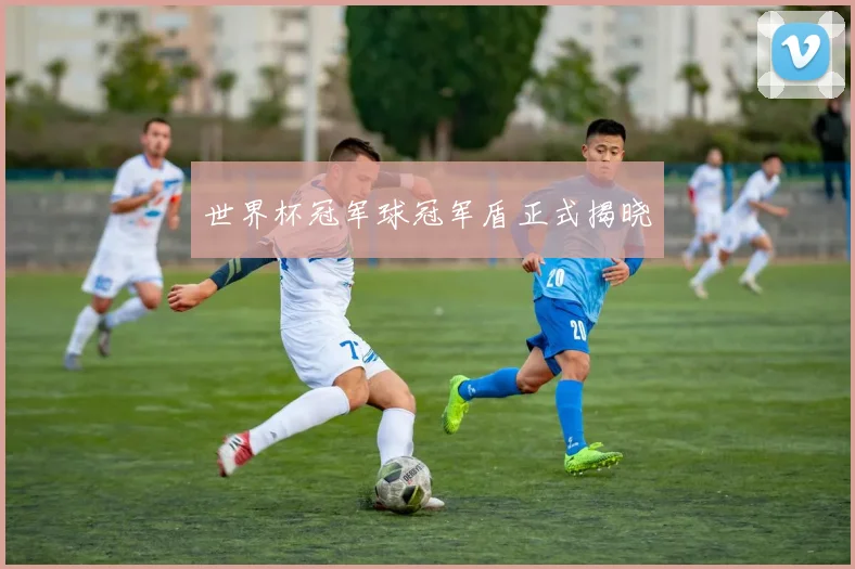 世界杯冠军球冠军盾正式揭晓